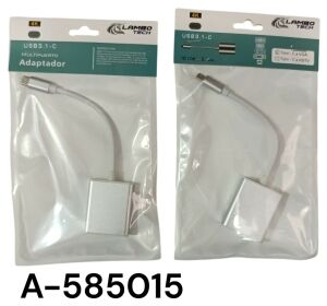 ADAPTADOR CONVETIDOR TipoC-VGA 300u